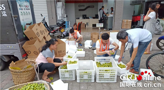 【區縣聯動】【銅梁】重慶銅梁區：地標品牌效應讓小林砂糖李走向全國【區縣聯動 列表】重慶銅梁區：小林砂糖李走向全國