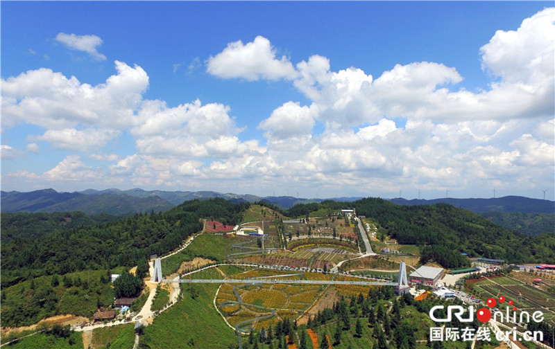 【區縣聯動】【石柱】重慶石柱雲中花都景區：納涼避暑好去處