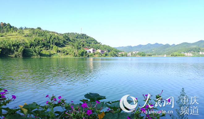 【區縣聯動】【銅梁】【能源環保 列表】銅梁：水生態修復工程讓水庫恢復“美麗容顏”【區縣聯動 列表】銅梁：讓水庫恢復“美麗容顏”