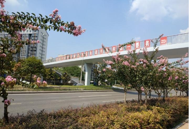 【區縣聯動】【巴南】巴南30座橋梁和5座隧道換“新裝”