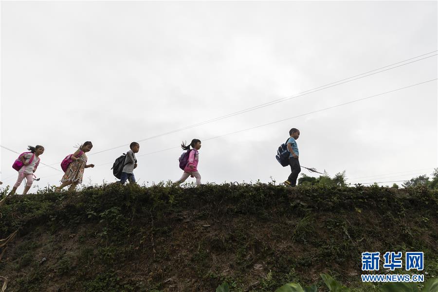 【焦點圖】重慶南川：金佛山上的“微小學”