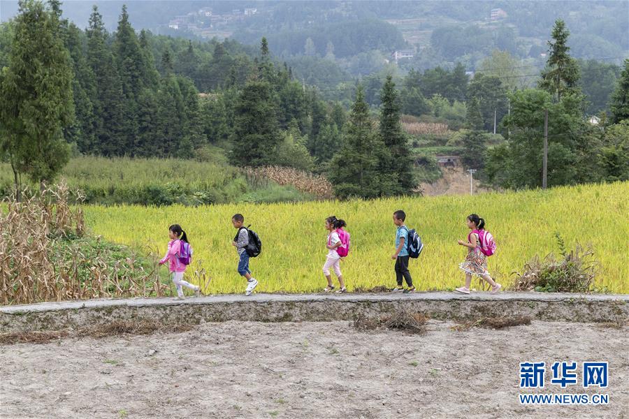 【焦點圖】重慶南川：金佛山上的“微小學”