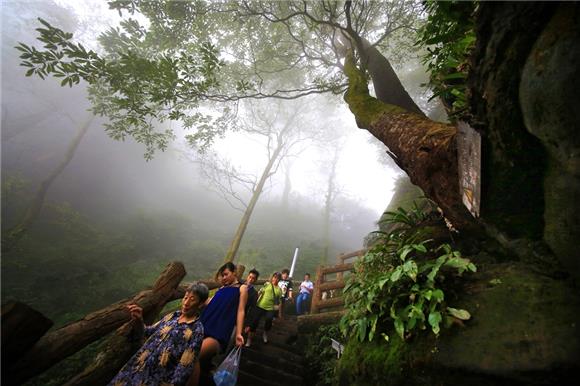 【區縣聯動】【綦江】綦江古劍山秋雨綿綿如入仙境