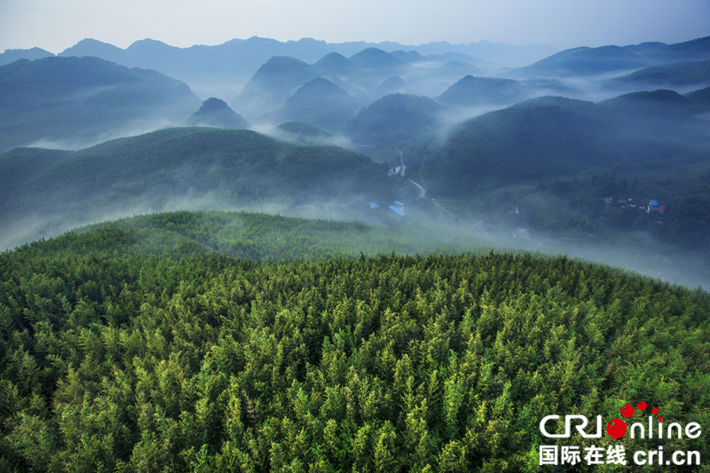 【CRI專稿 列表】重慶梁平各大景區國慶添新景、送福利