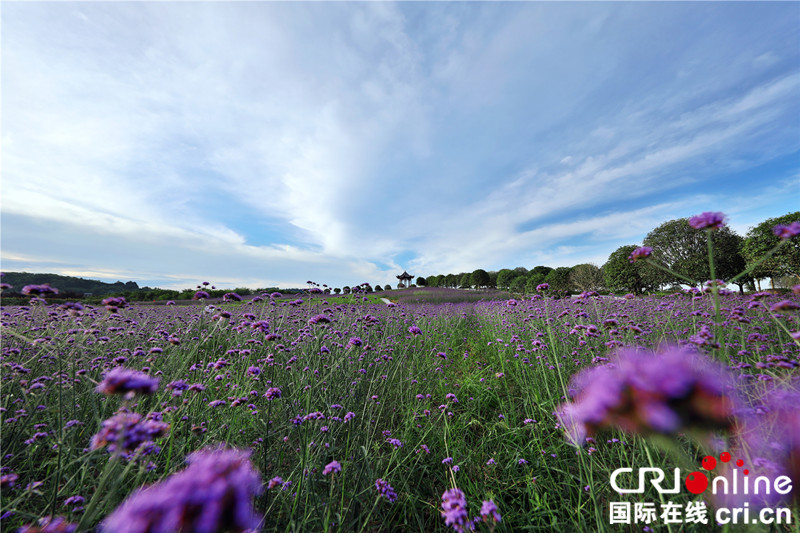 【CRI專稿 列表】重慶梁平各大景區國慶添新景、送福利