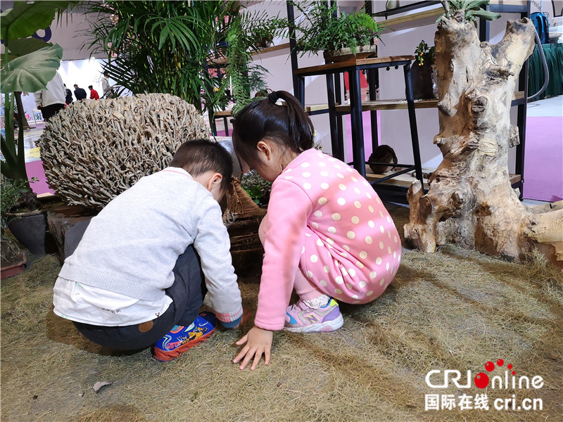 無邊欄【cri專稿 列表】逛展如逛街 第六屆渝交會打造場景化購物體驗