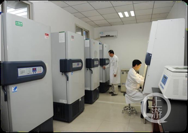 【聚焦重慶】重慶年內開建女性惡性腫瘤大數據平臺