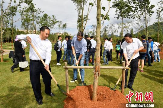 兩岸青年昆明共話創業就業