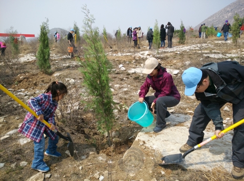 【北京】“臺胞林”初長成 在京臺胞植樹1500棵