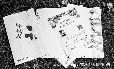 文藝又貼心的高校錄取通知書：贈書 加二維碼