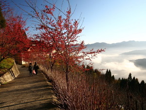 台灣將推登山分級制 禁止山友越級挑戰