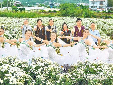 苗栗銅鑼鄉舉辦杭菊節 邀遊客一飽眼福