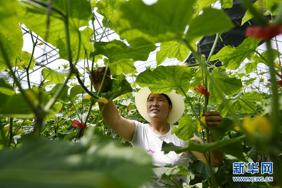 從大山深處到大河之畔——寧夏持續移民百萬“拔窮根”啟示