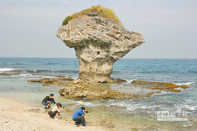 小琉球觀光客日益增多，潮間帶生物卻持續驟減。