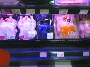 記者赴港探路活禽市場：港人食雞九成冰鮮