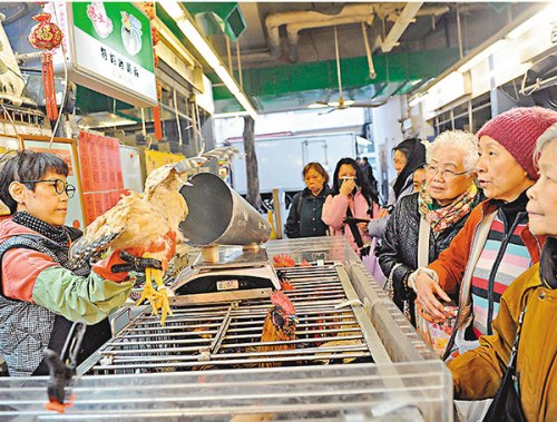 深圳活禽休市3周 香港官方:無須暫停內地供港活雞