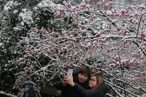 全台灣瘋賞雪 淩晨排隊上山追雪景