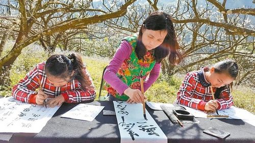 嘉義梅山300株李花齊開 書法家樹下揮毫