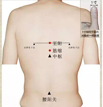 圖片默認標題