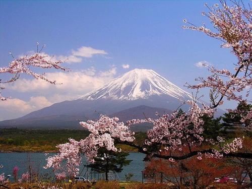 推介赴日遊 日本國家旅遊局將設7個海外辦事處