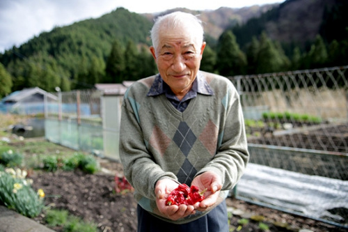 沉入湖底的日本夢幻辣椒：震撼辣感重現世間