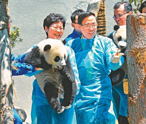 四川回饋港府援建 臥龍熊貓基地向港人免費開放