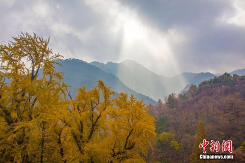 中國“申遺”之路走過30年，世遺總數穩居世界第二