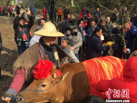 傳承千年文化 浙江柯城舉行世界非遺“九華立春祭”