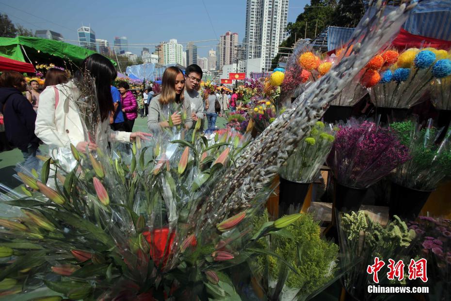 香港年宵市場開鑼熱熱鬧鬧迎“狗”年