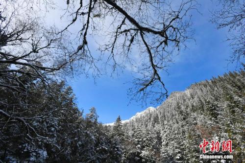 震後九寨溝開門迎客：大自然的神奇還在繼續