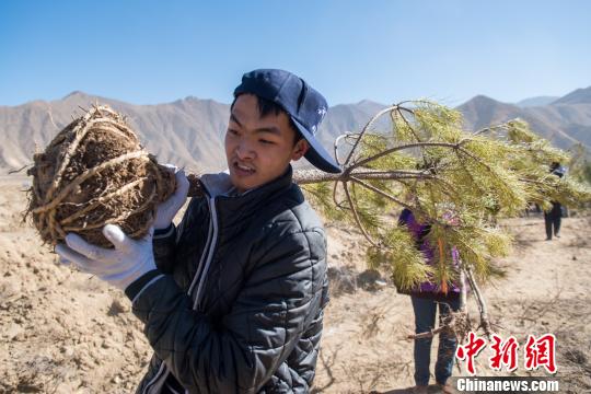 經濟觀察：中國興起“網絡植樹”熱