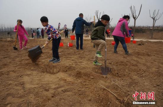 經濟觀察：中國興起“網絡植樹”熱