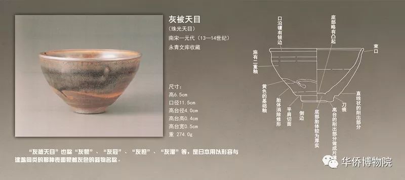 “閩瓷遺珍——南平茶洋窯出土瓷器展”在華博展出