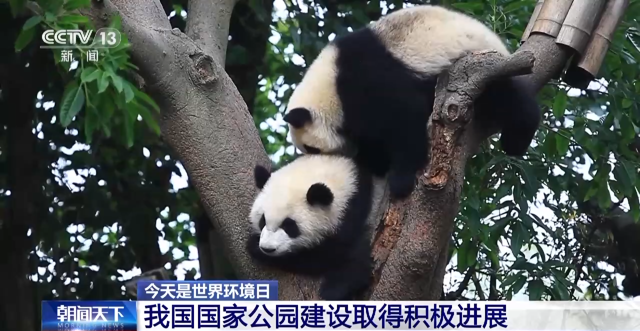 這個夏天 一起去國家公園和它們“偶遇”吧