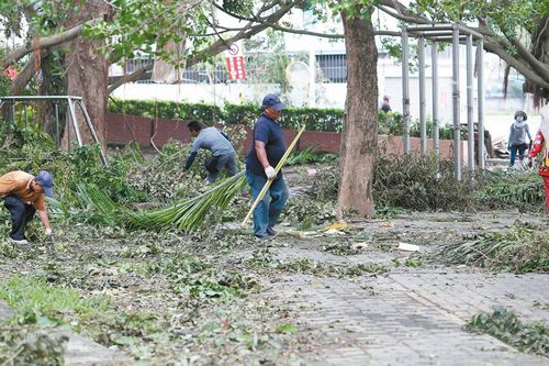 颱風“莫蘭蒂”重創果農 全臺農業損失近8億