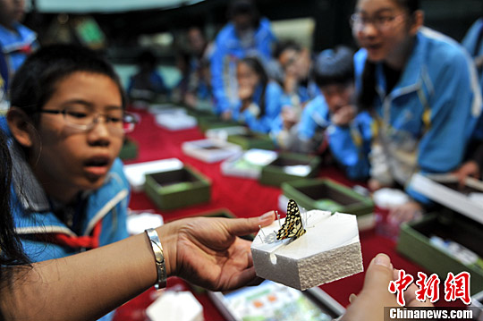 全國科普日 昆明小學生走進動物博物館學知識