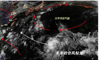 圖片默認標題