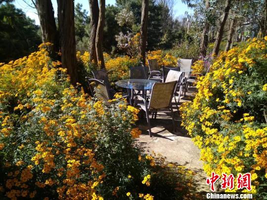 為愛共建百畝香草園：一對在滇兩岸夫妻的十年婚姻故事