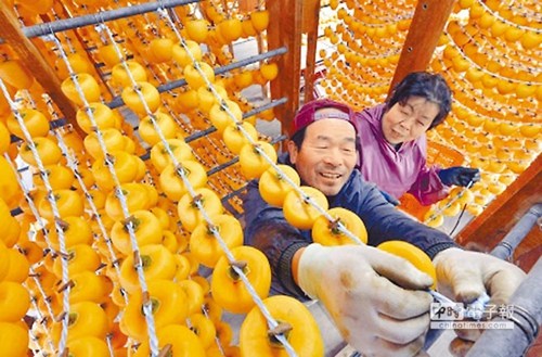 臺當局擬解禁日本除福島外4縣市核災食品 藍營痛批