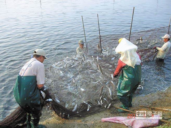 台南漁民：民進黨再騙下去 台南經濟不會翻轉