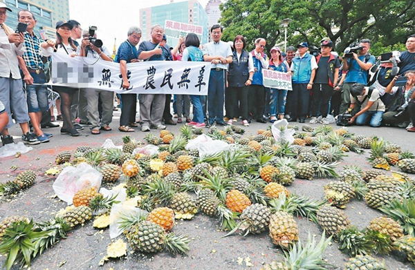 香蕉鳳梨“價崩”後火龍果蠢蠢欲動 臺果農無奈街頭抗議