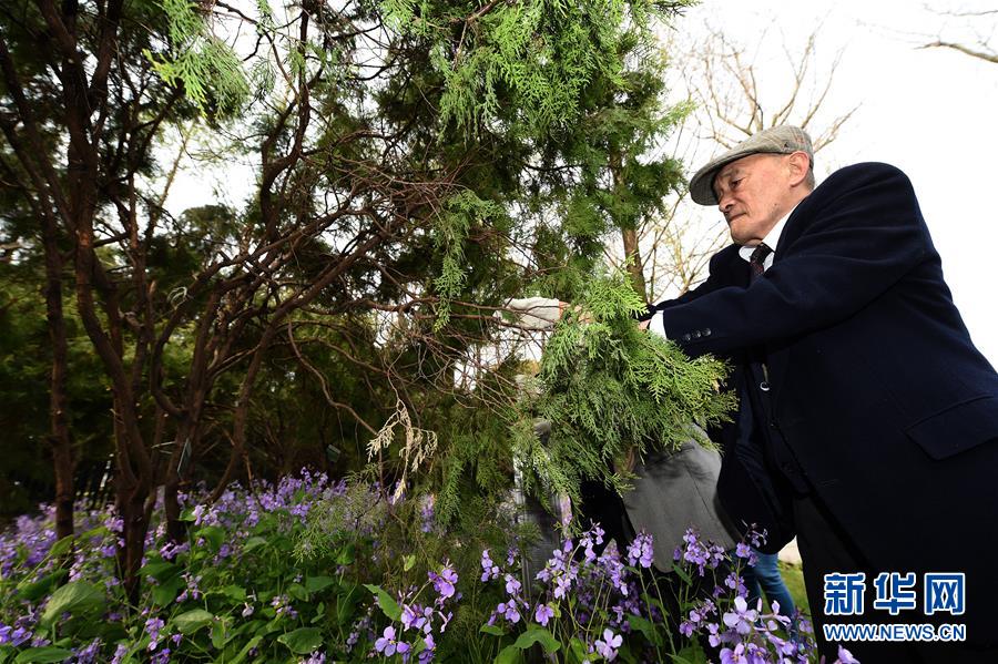 日本植樹訪華團持續32年悼念南京大屠殺遇難者