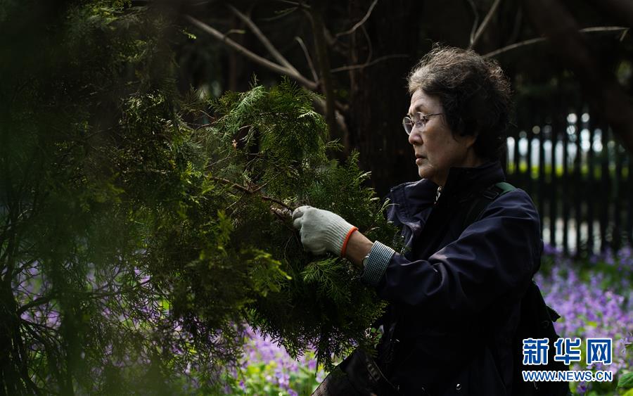 日本植樹訪華團持續32年悼念南京大屠殺遇難者