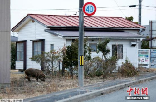 福島核電站反應堆報廢研究大樓啟用 將著力研發