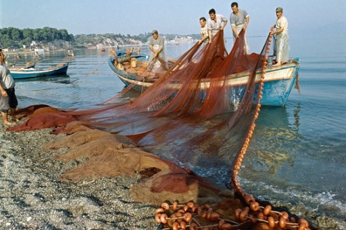 聯合國秘書長：2050年海洋中塑膠垃圾總重或超魚類