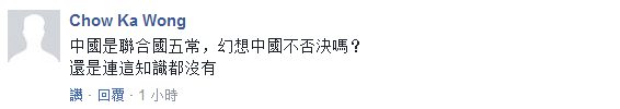 蔡英文被曝要“加入聯合國” 學者怒批:白日做夢