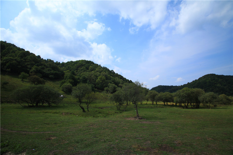 【旅遊　顯示圖在最下方】寶雞大水川：愜意的高山草甸