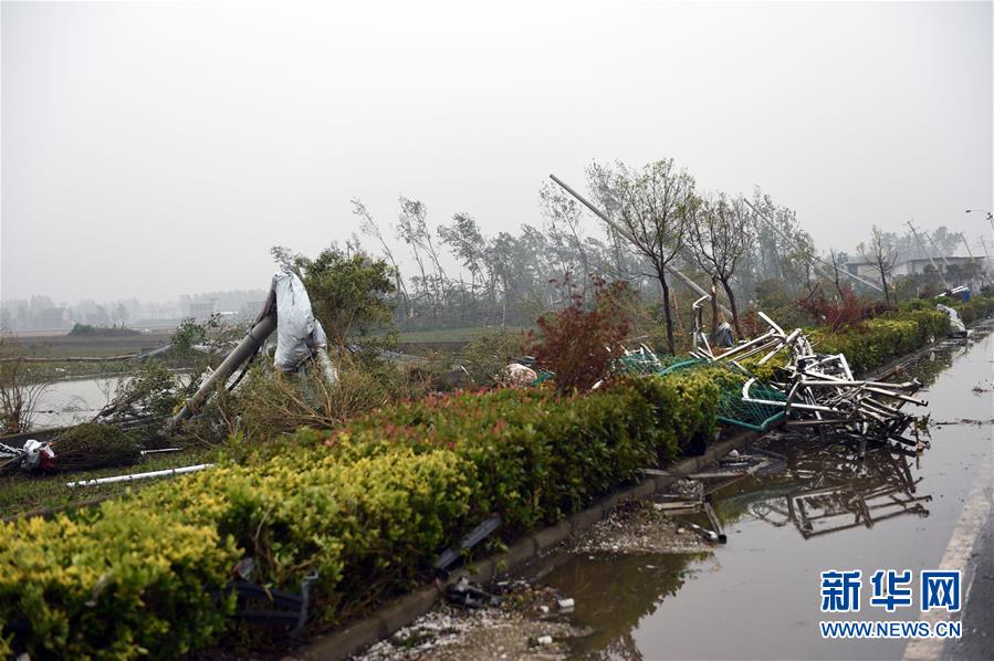 江蘇阜寧射陽等地突發強對流天氣已致51人死亡