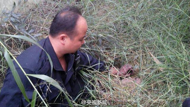 廣東越獄逃犯藏身地曝光：距監獄500米遠的草叢坑洞中