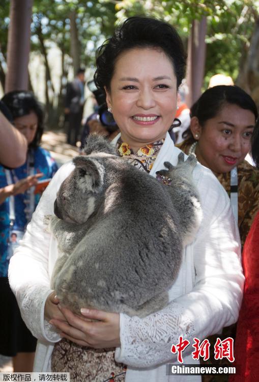 各國第一夫人參觀考拉庇護所